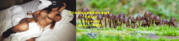 спайс Аркадак