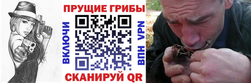 Псилоцибиновые грибы Psilocybine cubensis  где продают наркотики  Партизанск 